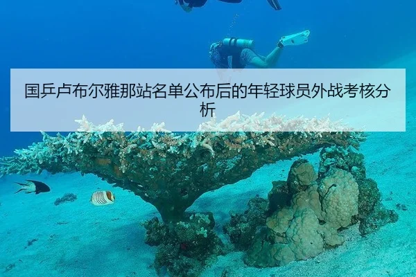 国乒卢布尔雅那站名单公布后的年轻球员外战考核分析